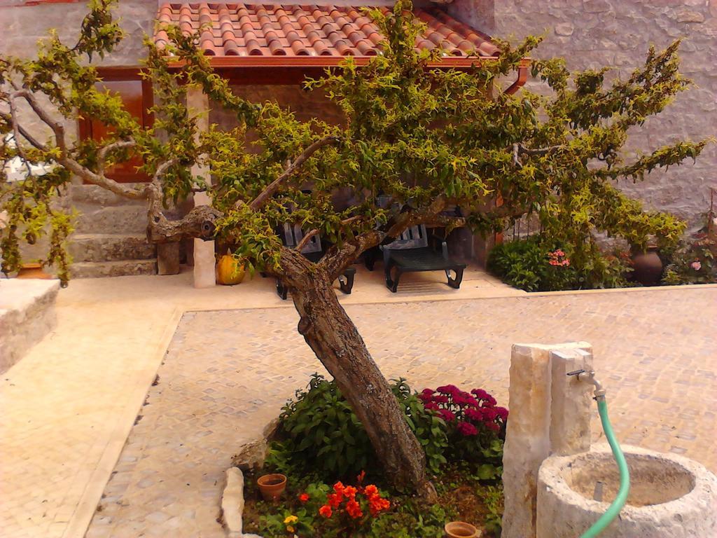 Retiro Da Avo Lidia - Turismo Rural Mendiga Kültér fotó