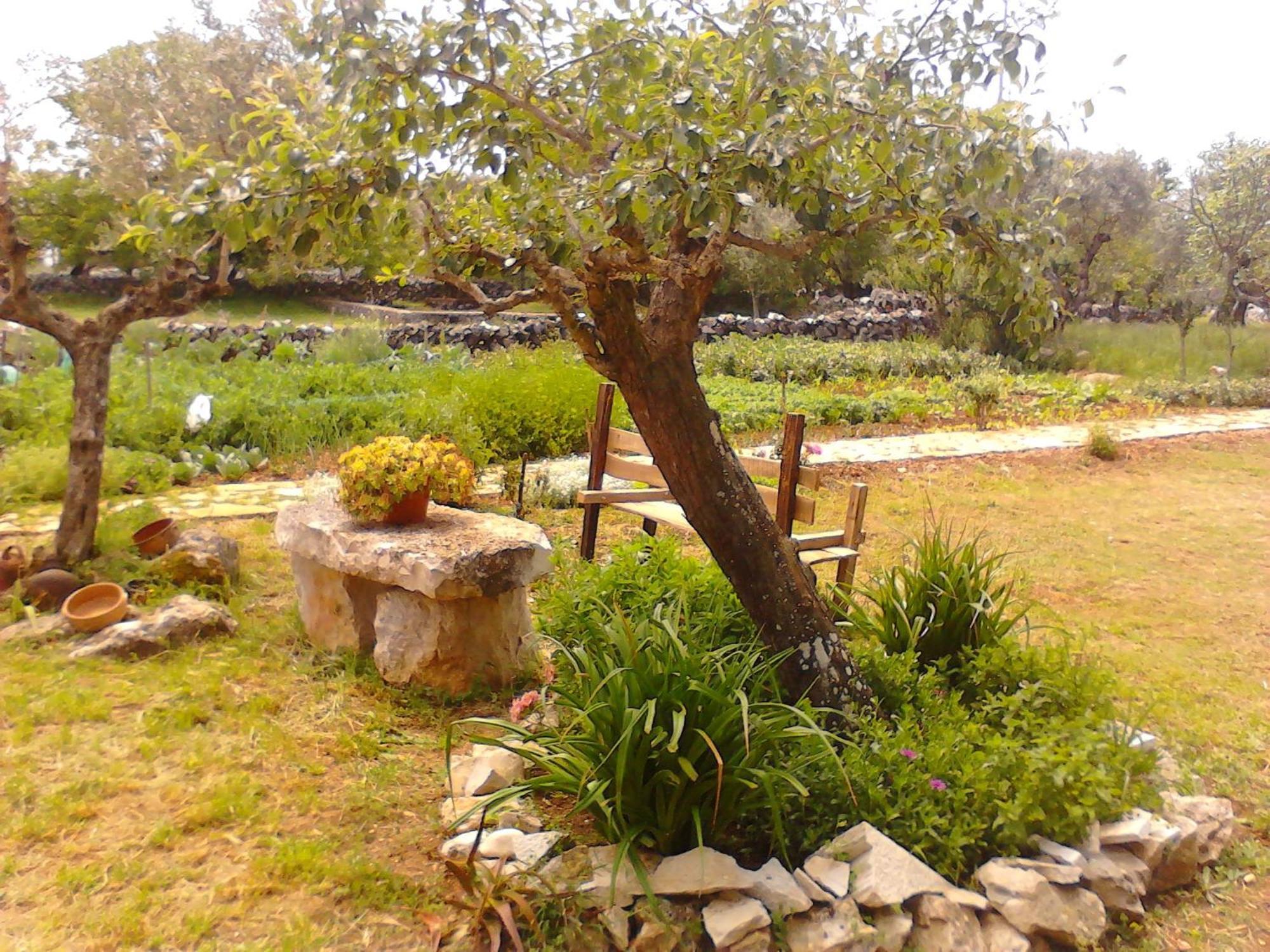Retiro Da Avo Lidia - Turismo Rural Mendiga Kültér fotó