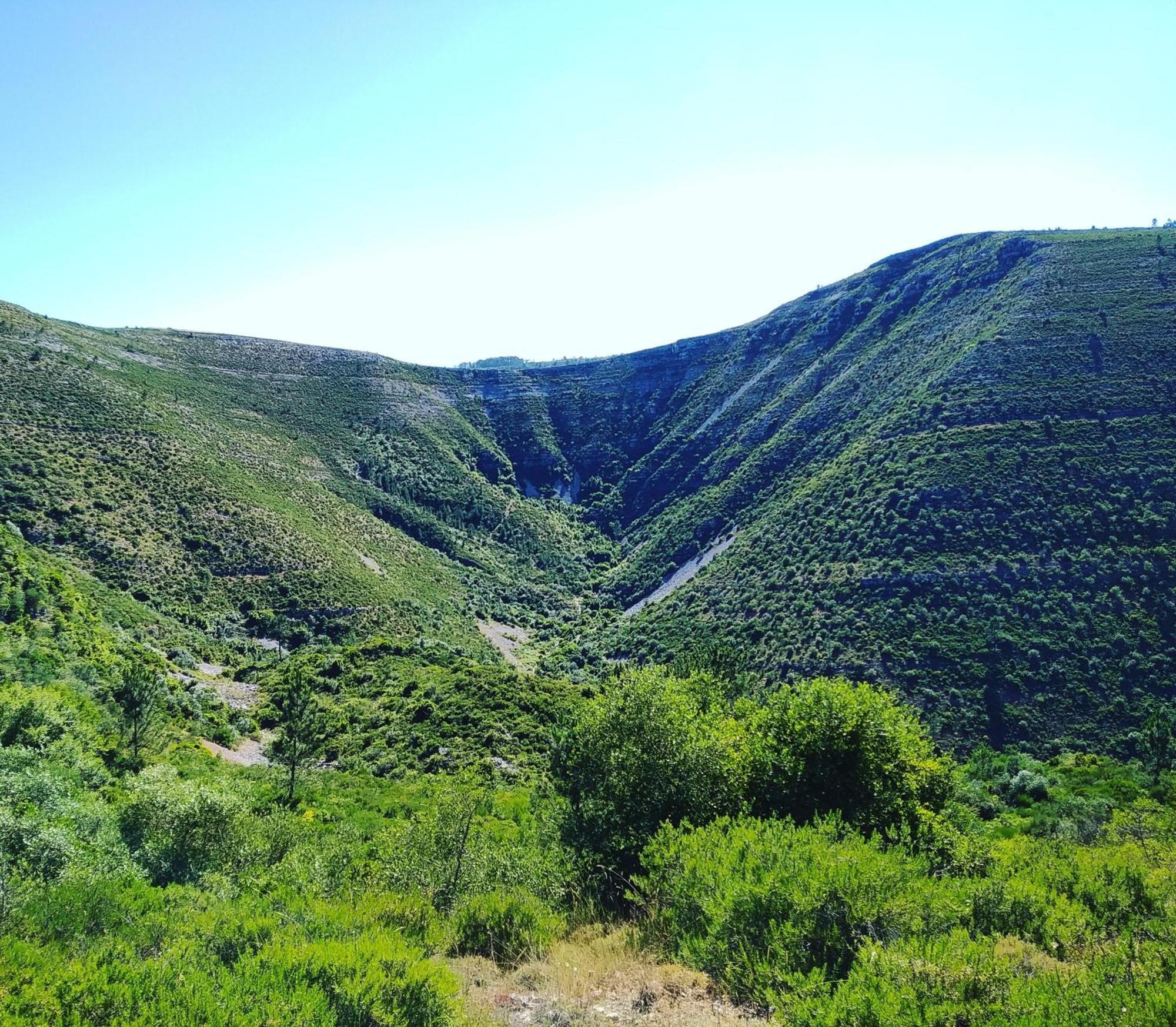 Retiro Da Avo Lidia - Turismo Rural Mendiga Kültér fotó